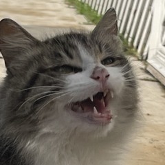 jjackkjjackk