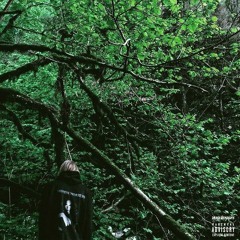 _𝕲𝖊𝖓𝖘𝖙𝖆_