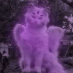 clos3dloop