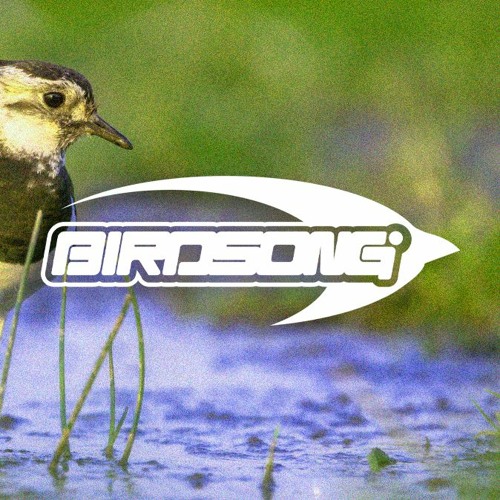 Birdsong’s avatar