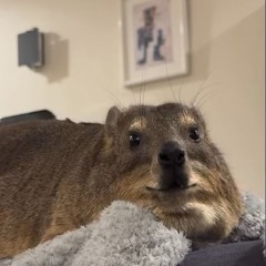 Brian Tracy - Everything counts