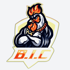 BIC - Barely In Control