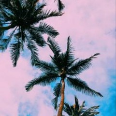 Palm.klik