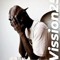 Vission256