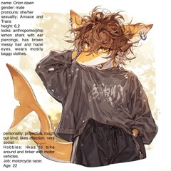 yourlocalshark