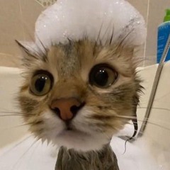Макс