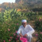 الفرح