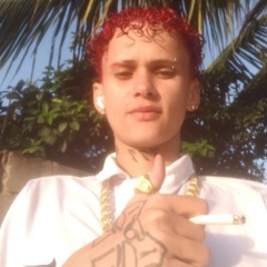 Pedrohenriqueribei99