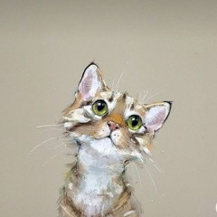 Kitti