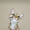 Kitti