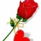 pinklip10 محمد‎
