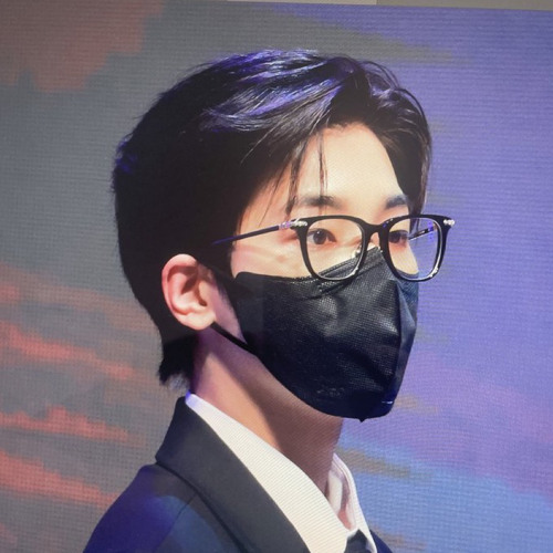 SEVENTEEN (세븐틴) Darling inst.