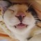 Kenjuu.ofz