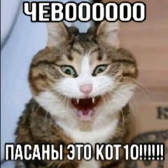 lolkek55557