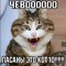 lolkek55557