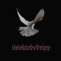 ☆itsoktobedripp☆