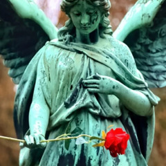 @NG3L4L0V3= SP1R1T  2B