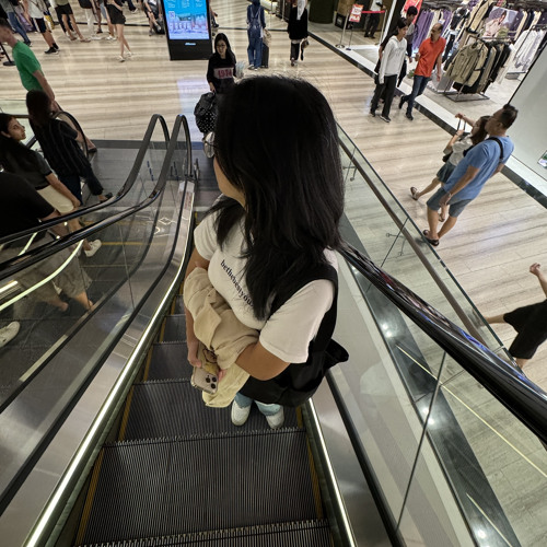 egg fried rice, in F