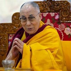 ChargrilledFenderBoogie