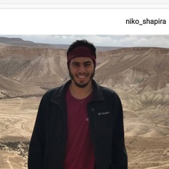 Niko Shapira