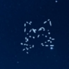 orhsu7282