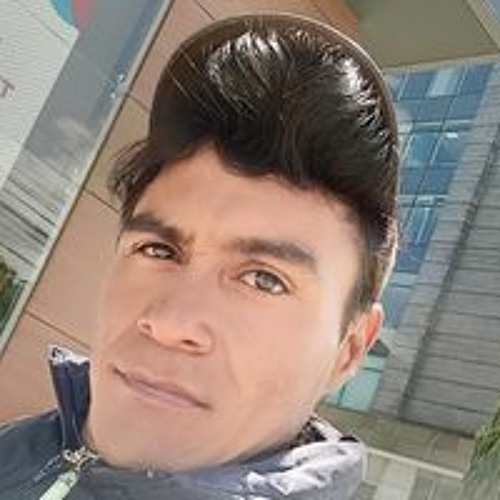 Javier Ibarra Ruido’s avatar