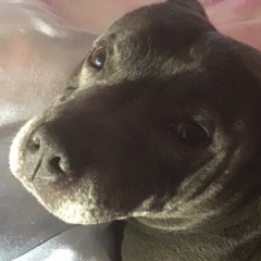 Alana kerr 2021 💞