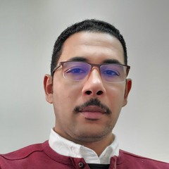 salah zaky