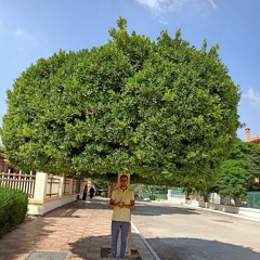 أحمد سمير