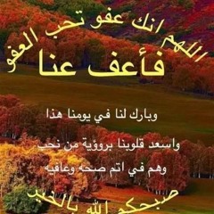 عبدالموجود يسرى السيسى
