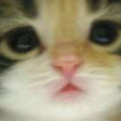 Reepooper