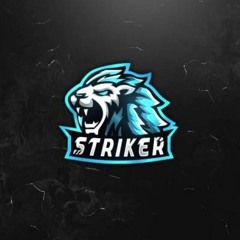 bndt_striker
