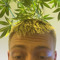Karllikestekno