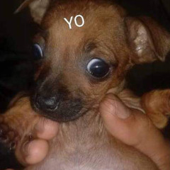 yo