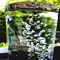 WaterVase