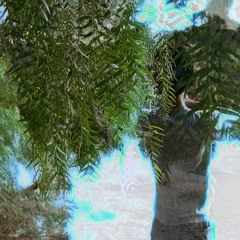 zaohsaoh