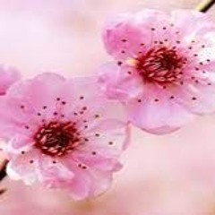 Existentially Dreadful