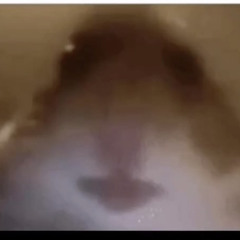 AJ Ham