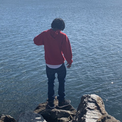trapp_movments