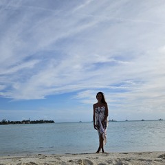 Vane