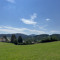 _zhuk_17