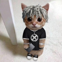 luhgeeker