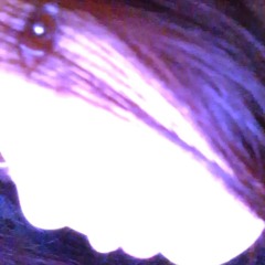 fyjkwp