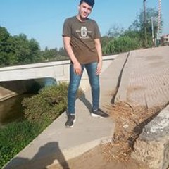 Kareem Eldamaty