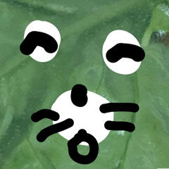 eaim