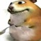funny drug rat