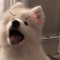 권재희