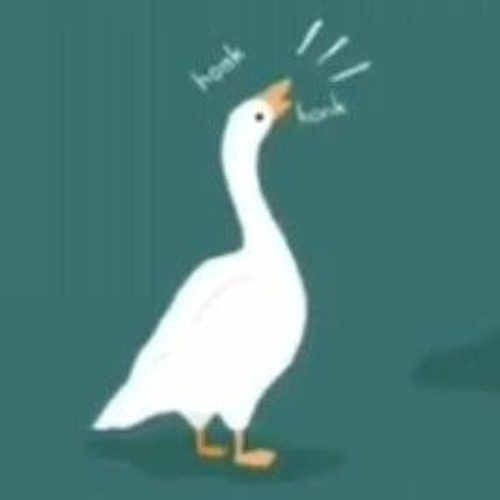 Goose Music’s avatar