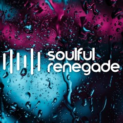 Soulful Renegade