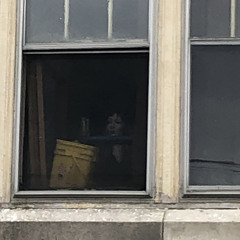 thriftboy archive (this is a throw away account)